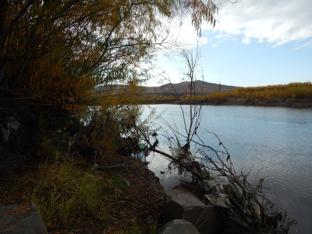 Слияние двух рек Ингоды и Читинки - Екатерина Панова Слияние двух рек Ингоды и Читинки - Екатерина Панова