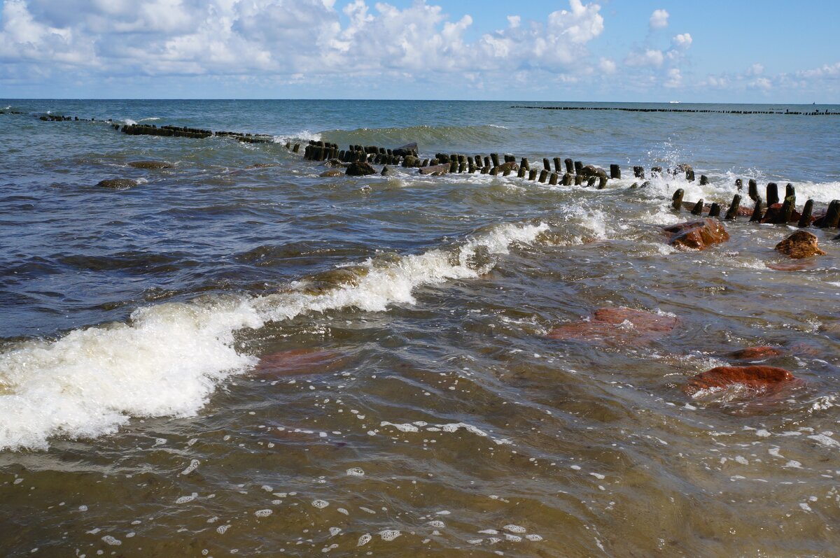 ~ ~ ~ - Алёна Савина ~ ~ ~ - Алёна Савина