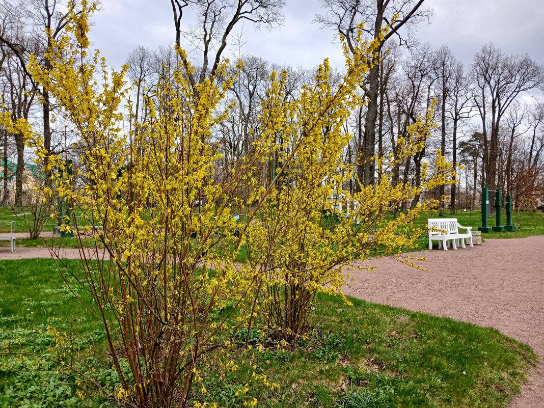 Апрель в Александрии. - Лия ☼ Апрель в Александрии. - Лия ☼