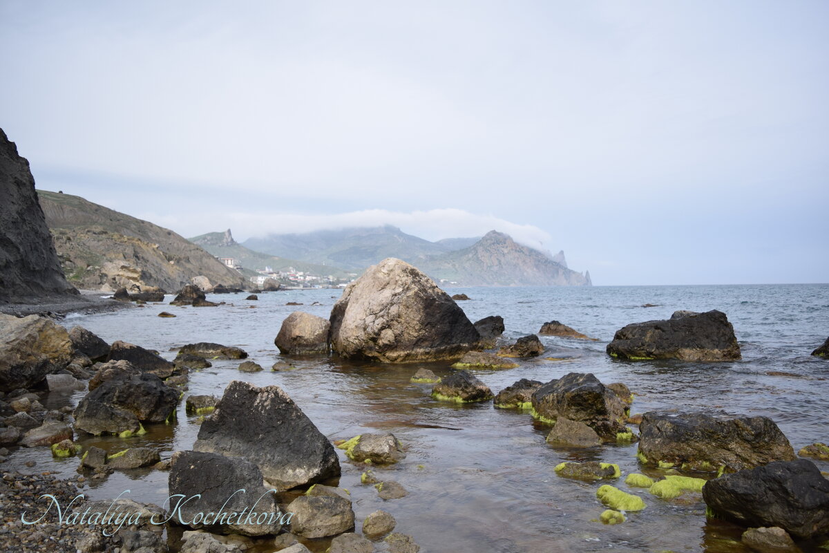 Природа Крыма - Amazing Cosmea Природа Крыма - Amazing Cosmea