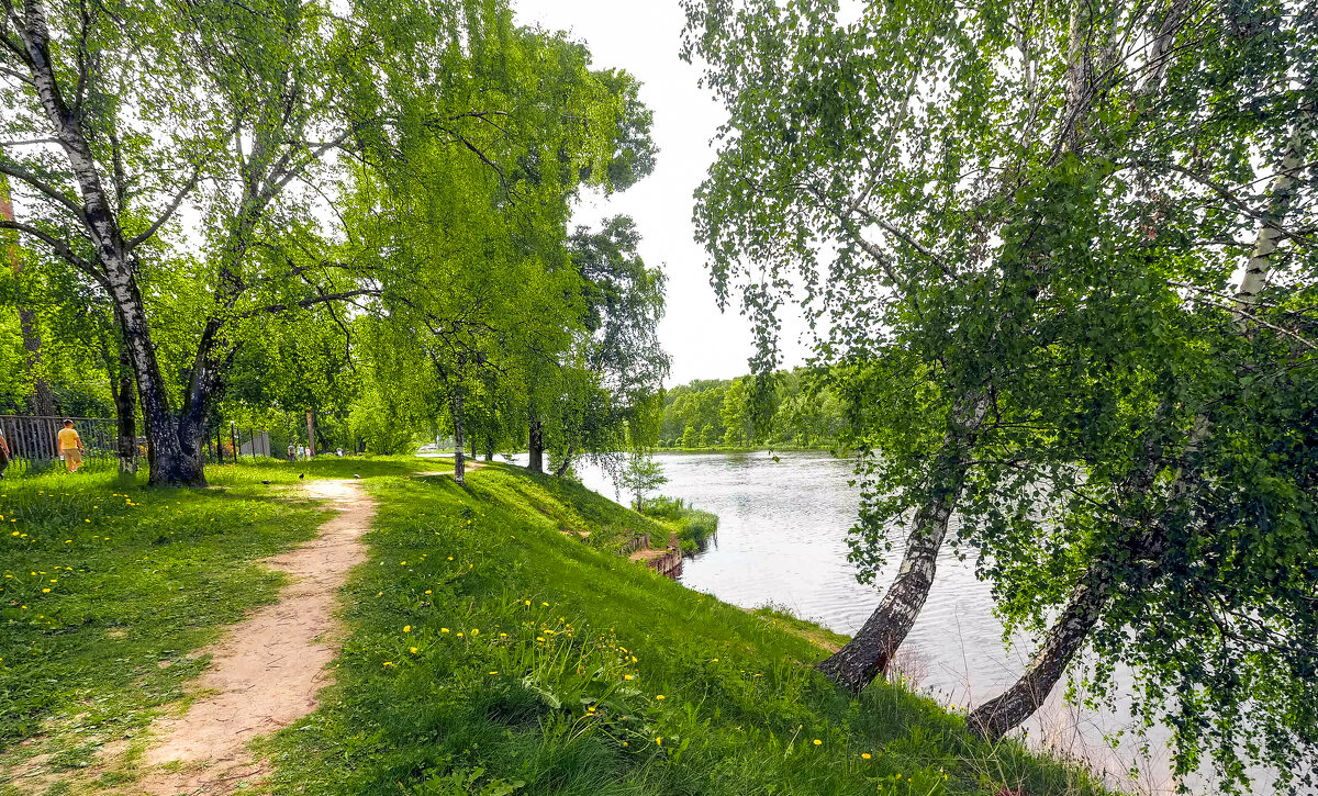 ***** - юрий поляков