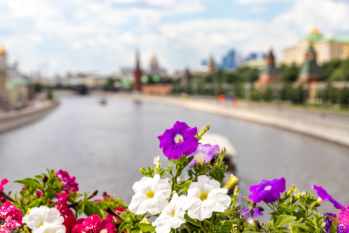 Цветочная Москва - Александр 