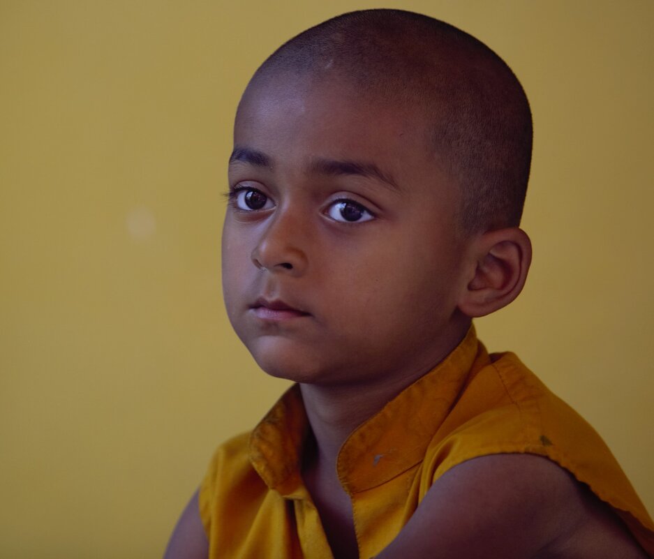 Юный монах - liudmila drake