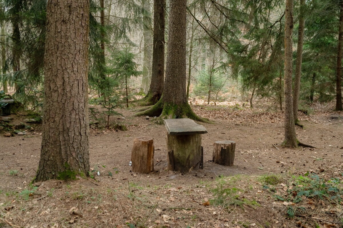 Место отдыха... - Николай Гирш