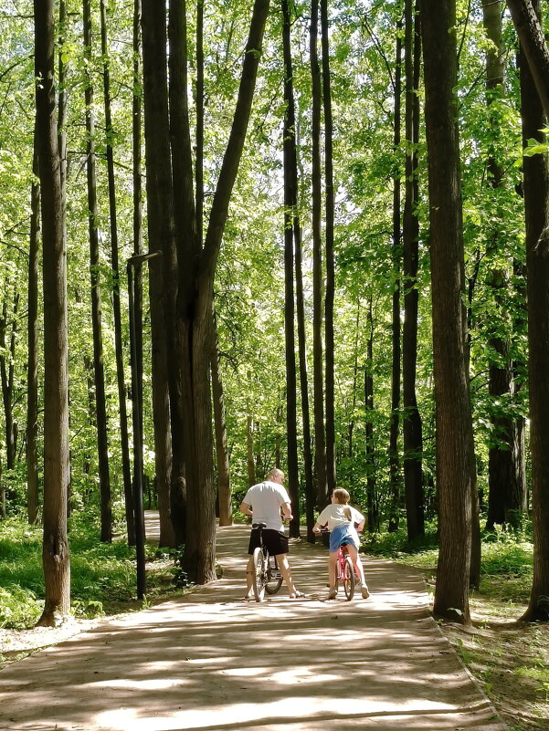 Велосипедная прогулка - Валерий Судачок Велосипедная прогулка - Валерий Судачок