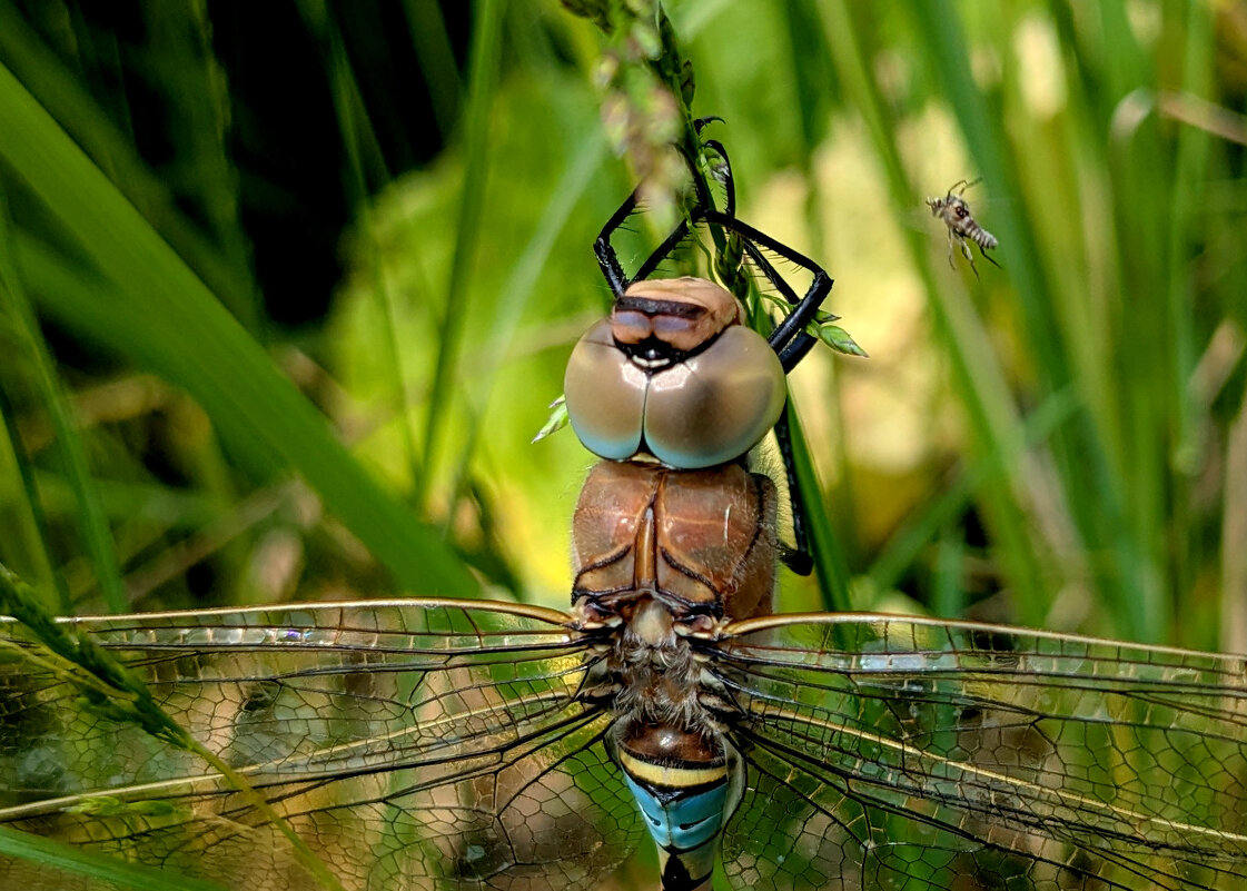 из вчерашней съемки  3 - Александр Прокудин