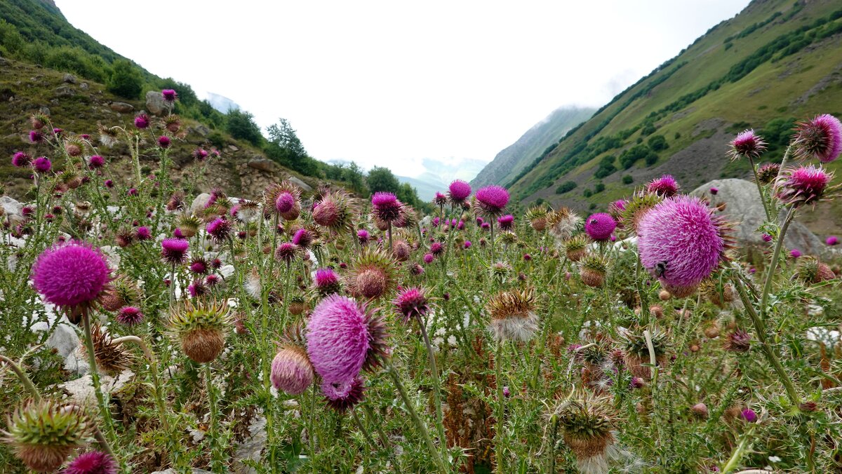 КБ - Андрей Л. В. КБ - Андрей Л. В.