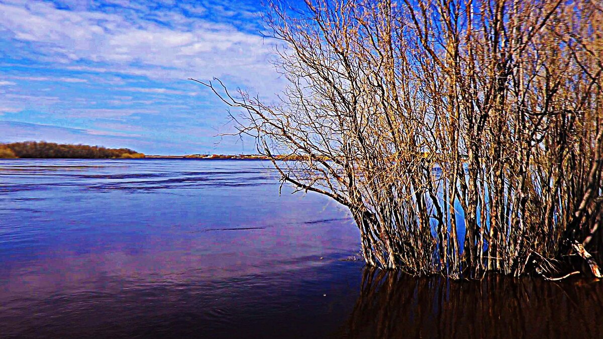 Май...Юганская Обь разлилась! - Владимир 