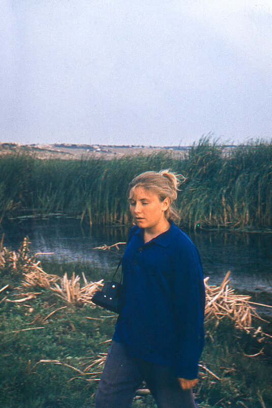 На даче. - Екатерина Панова На даче. - Екатерина Панова