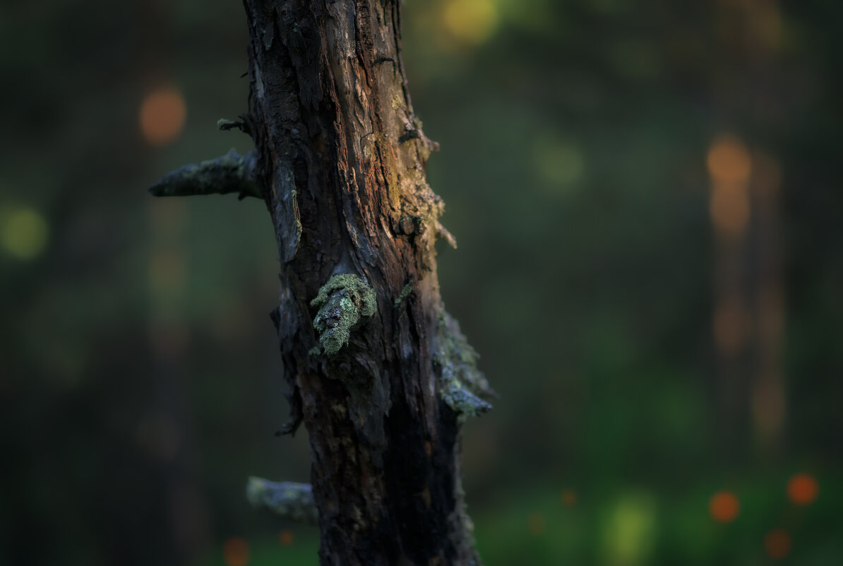 * - Александр Иванов