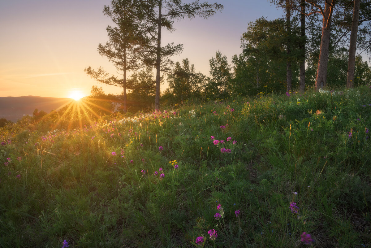 * - Александр Иванов