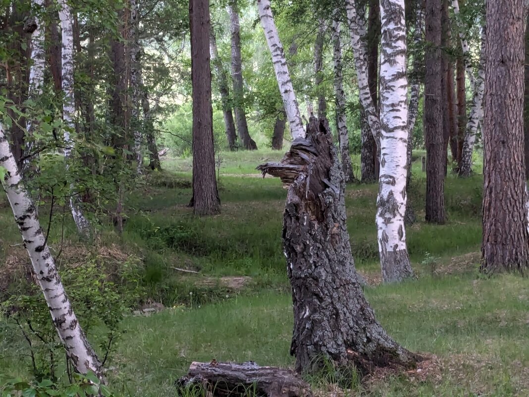 Берендеево царство - Георгиевич Берендеево царство - Георгиевич