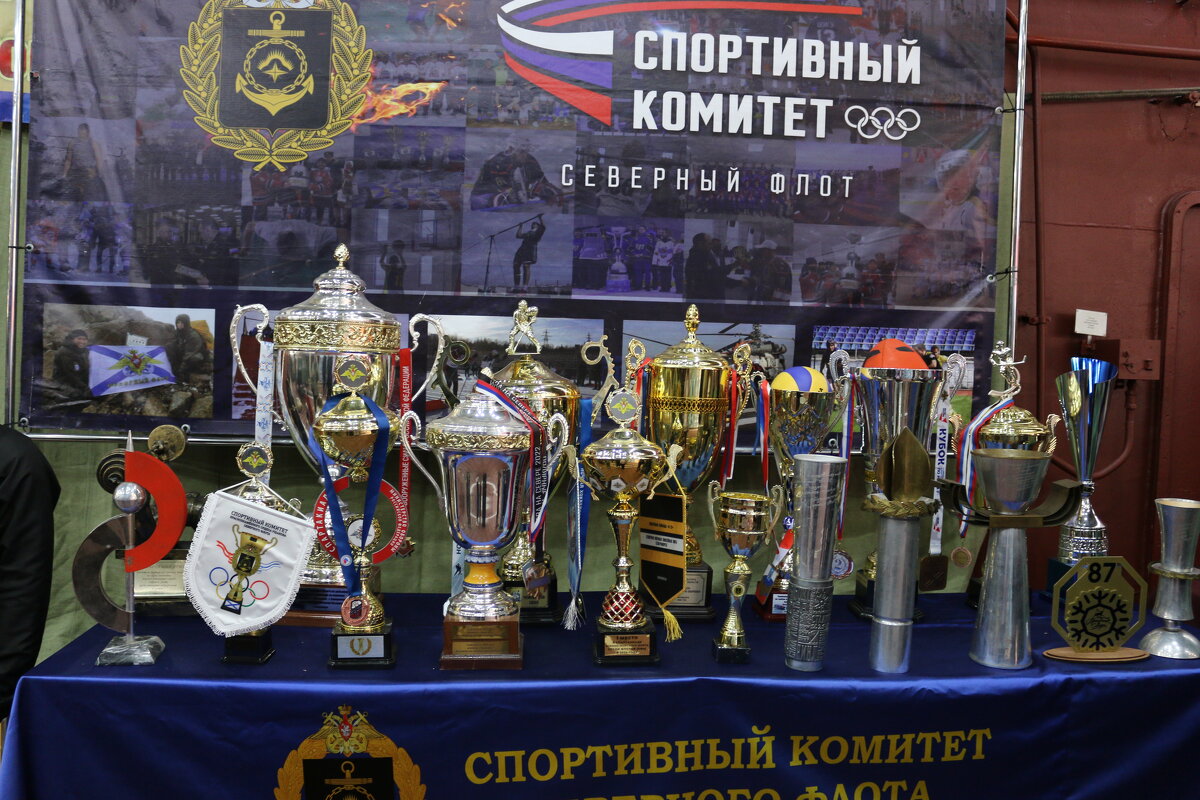 О спортивных достижениях - Ольга О спортивных достижениях - Ольга