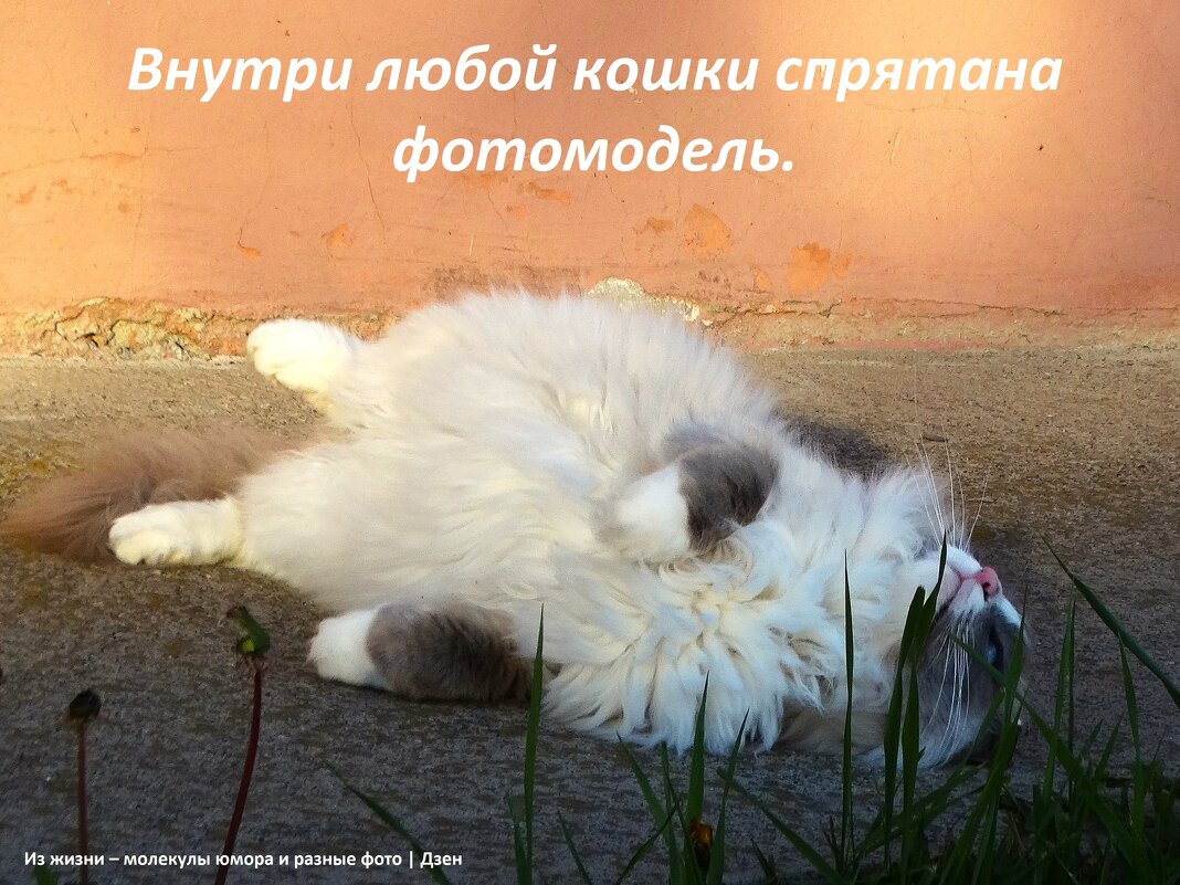 Разве не так? - svk *