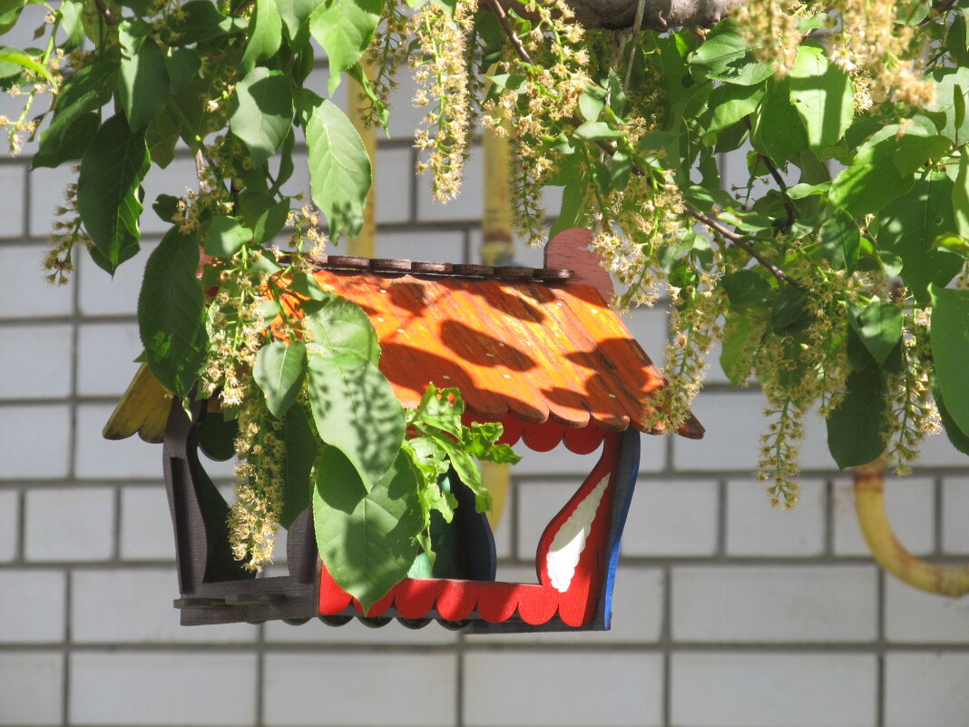 вариации на тему - Елена Шаламова