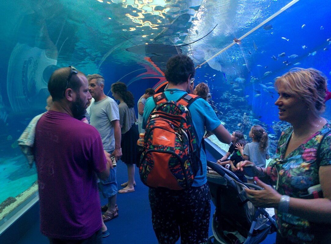 " - Светлана Хращевская