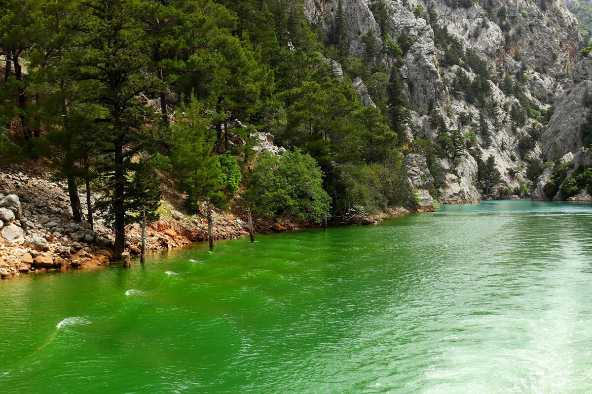 Берег каньона - Юрий. Шмаков Берег каньона - Юрий. Шмаков