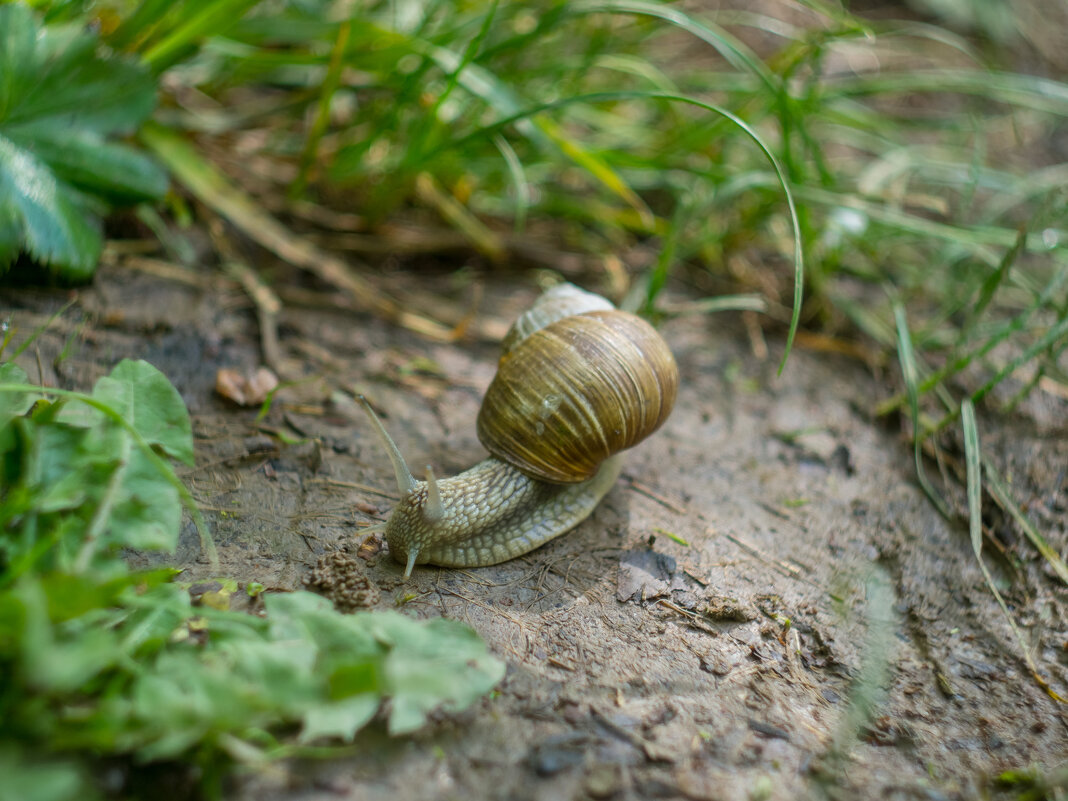 ___ - Yuriy V ___ - Yuriy V