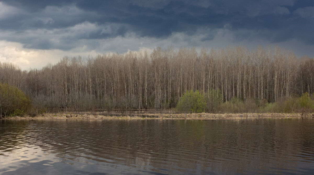 Aspen forest on the bank of the deep Bolshoy Puchkas River on a cloudy spring day | 6 - Sergey Sonvar Aspen forest on the bank of the deep Bolshoy Puchkas River on a cloudy spring day | 6 - Sergey Sonvar