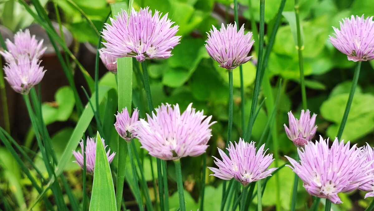 ,,, - Сергей Тимоновский ,,, - Сергей Тимоновский