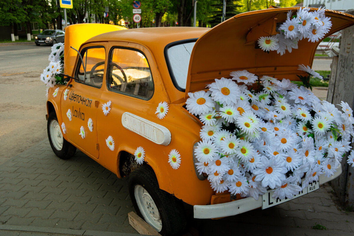 Фотозона - Светлана Мишенёва