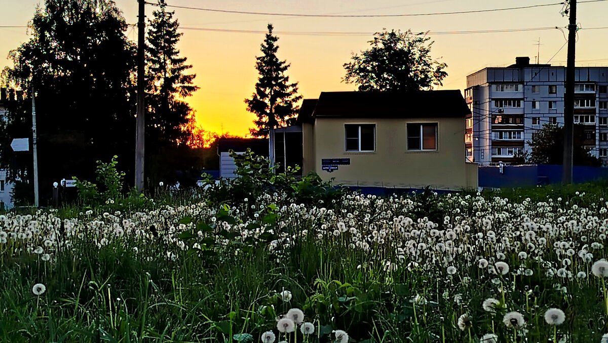 вечернее настроение - светлана льдокова