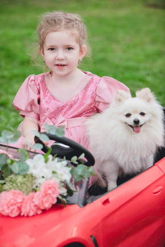 Пушистый поссажир - Аксана Shpakava Пушистый поссажир - Аксана Shpakava