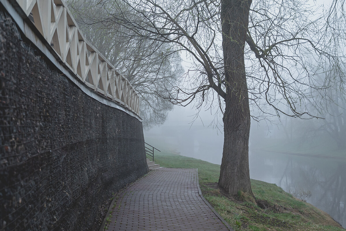 Туманное утро - Виктор Желенговский