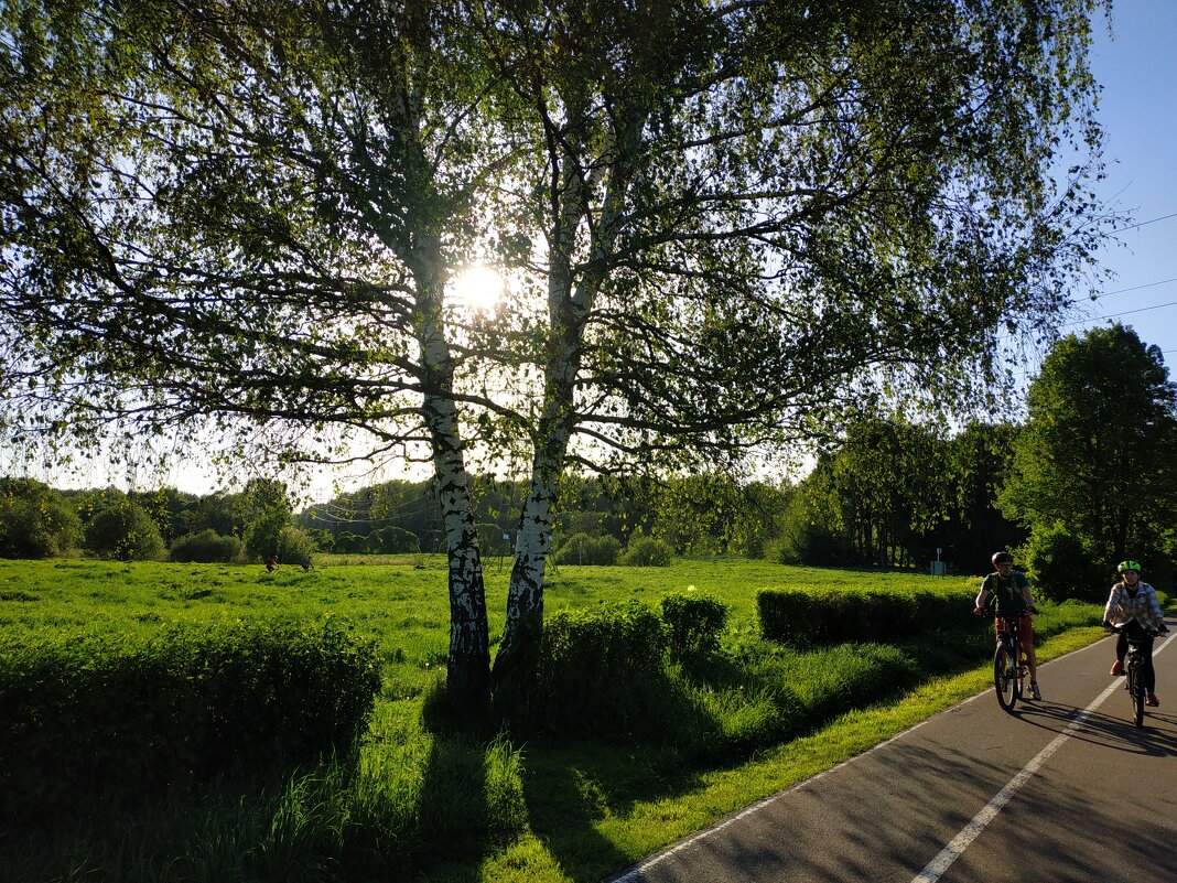 Мои братья по разуму - Андрей Лукьянов Мои братья по разуму - Андрей Лукьянов