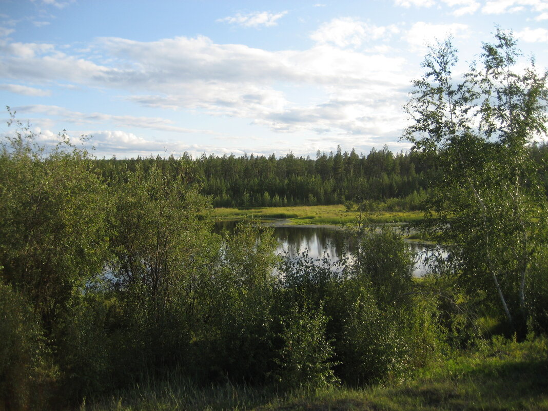 Лето - Anna Ivanova