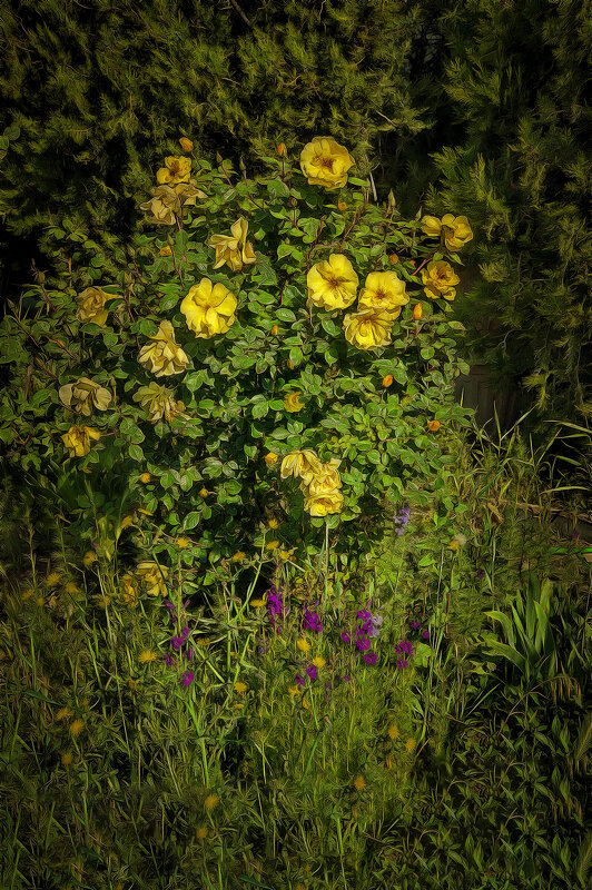 Зелёный уголок - Анатолий Чикчирный