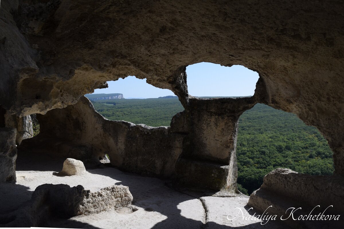 Природа Крыма - Amazing Cosmea
