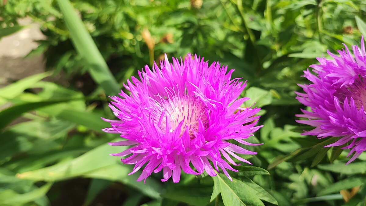 ,,, - Сергей Тимоновский