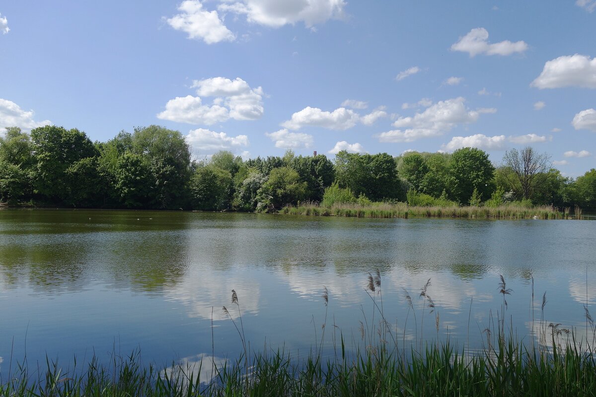 Майский пейзаж - Рита Симонова Майский пейзаж - Рита Симонова