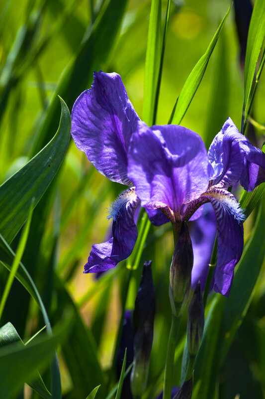 //*// - Анатолий Нецепляев