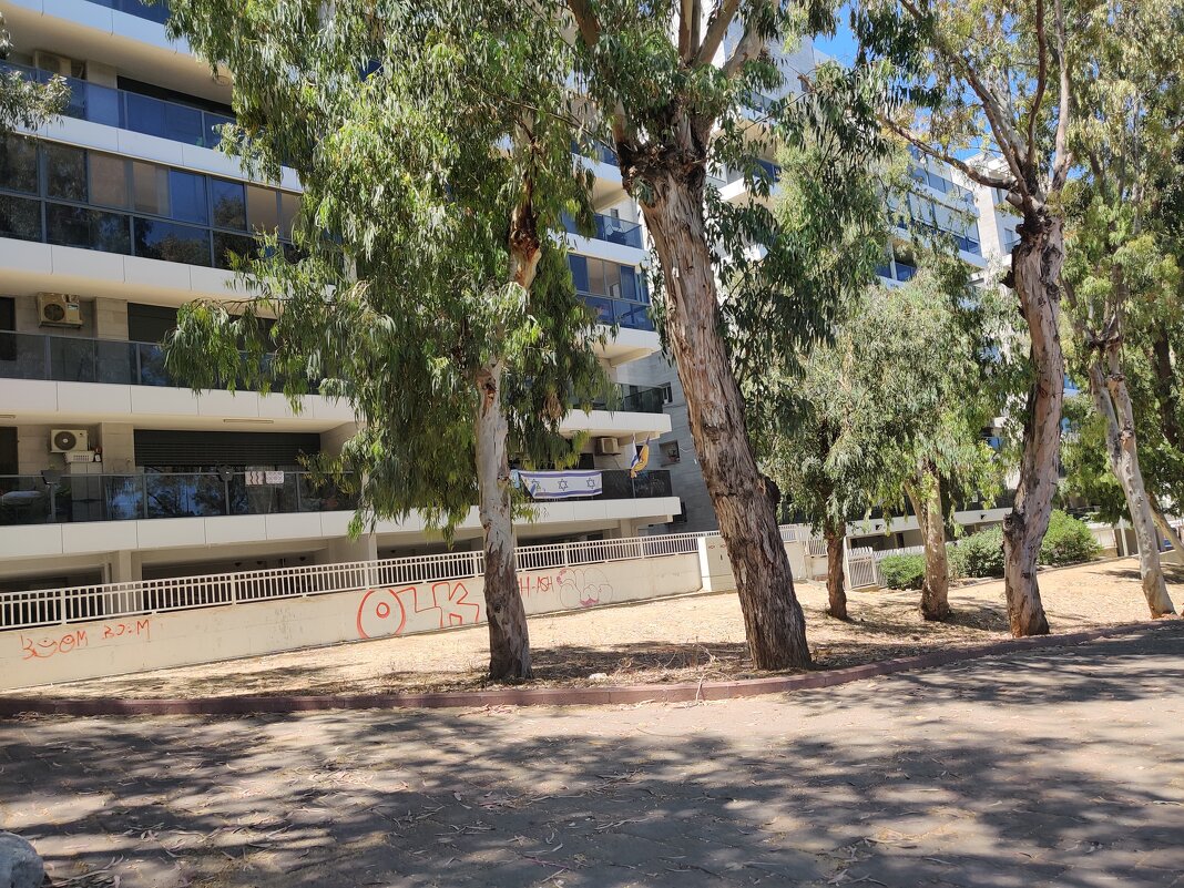 Здании после ремонта. - Светлана Хращевская