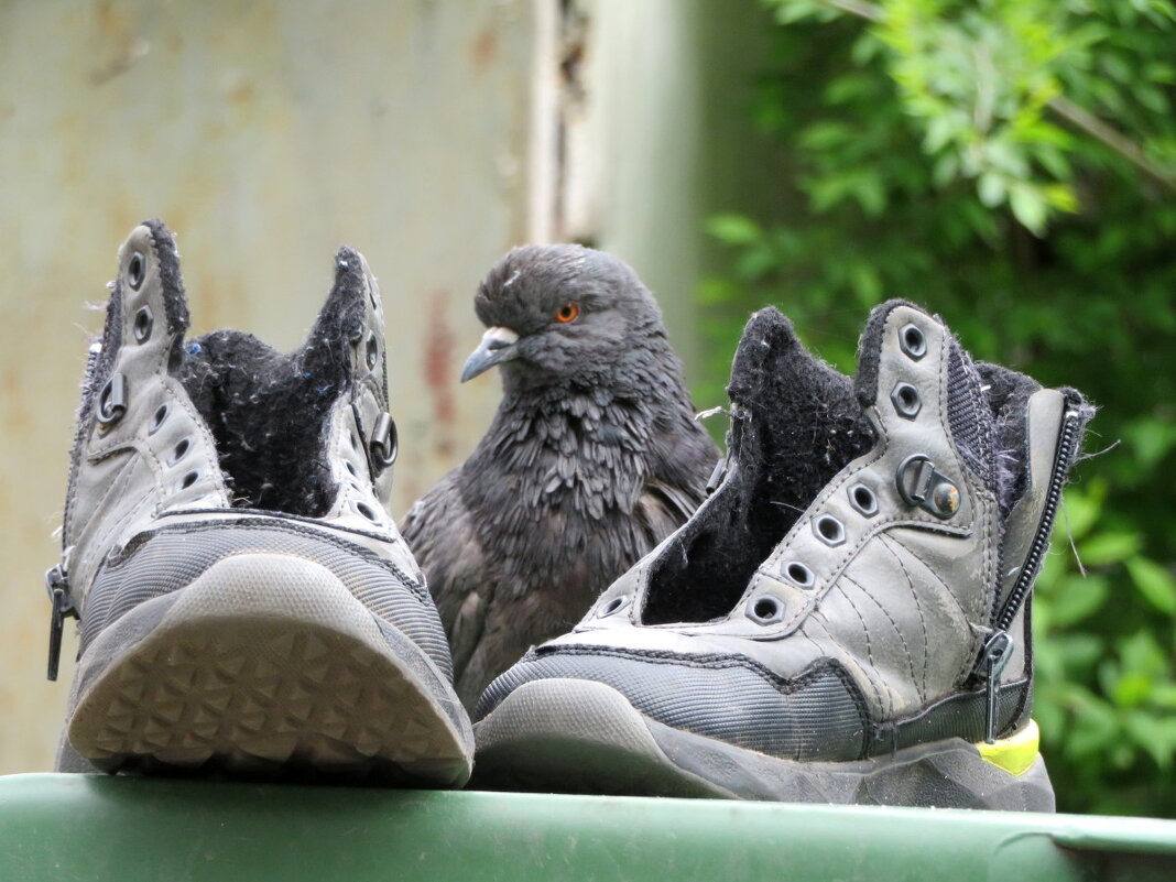 Ну и как я вам? - Егор Бабанов Ну и как я вам? - Егор Бабанов