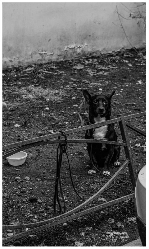 Петербург - Лана Пипякина