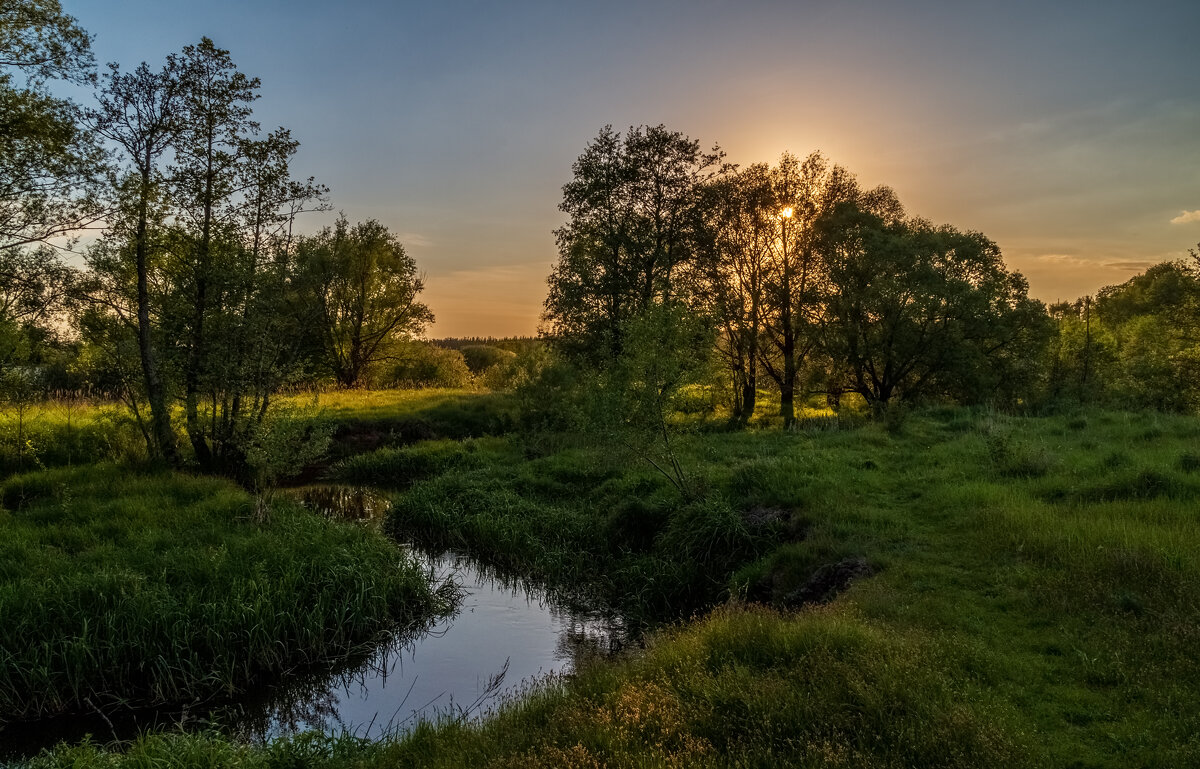 Родные берега 2 - Андрей Дворников Родные берега 2 - Андрей Дворников
