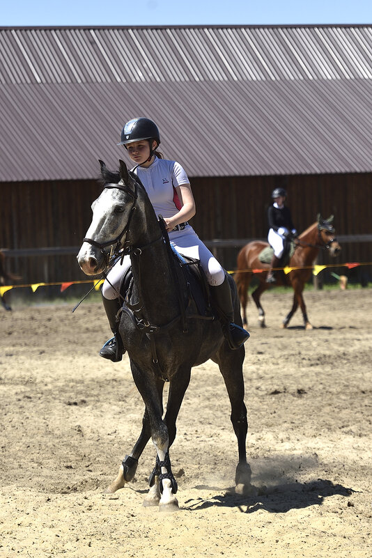 Грация и Красота! - Александр Гриднев