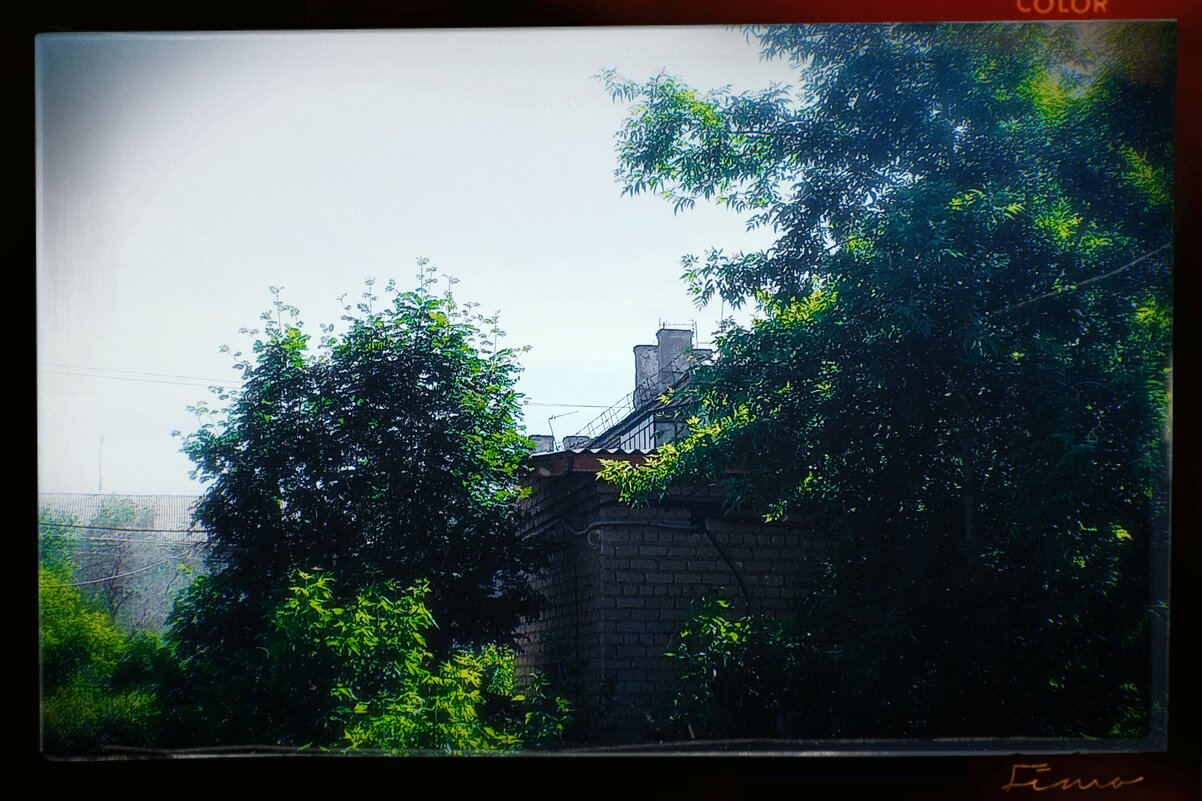 Дом в зелёном. - Игорь Солдаткин