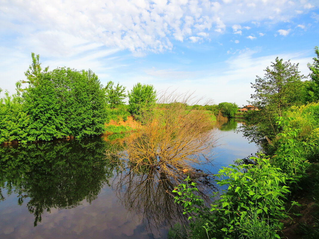 На реке - Андрей Снегерёв
