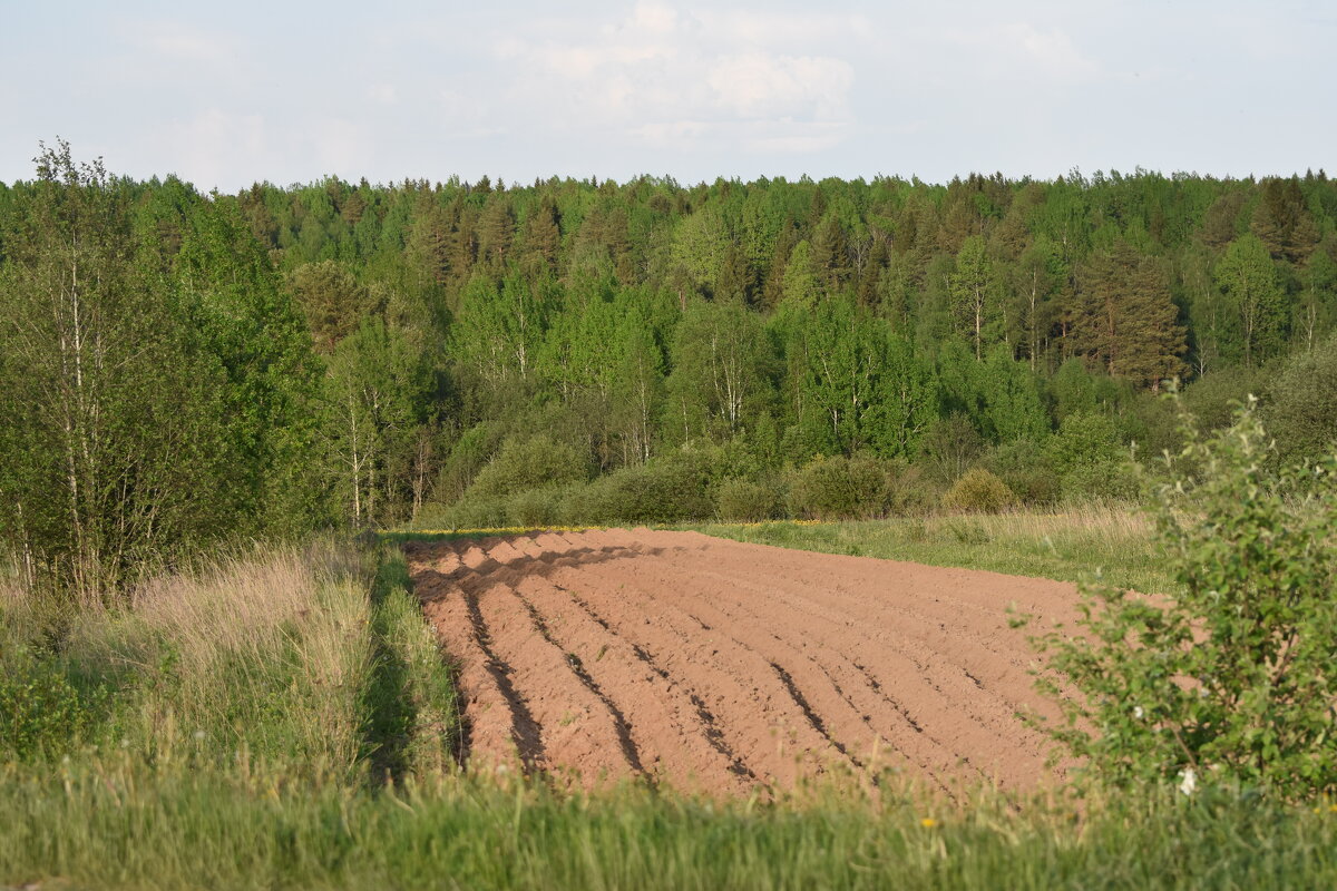 что посеешь, то и пожнёшь - vg154 что посеешь, то и пожнёшь - vg154