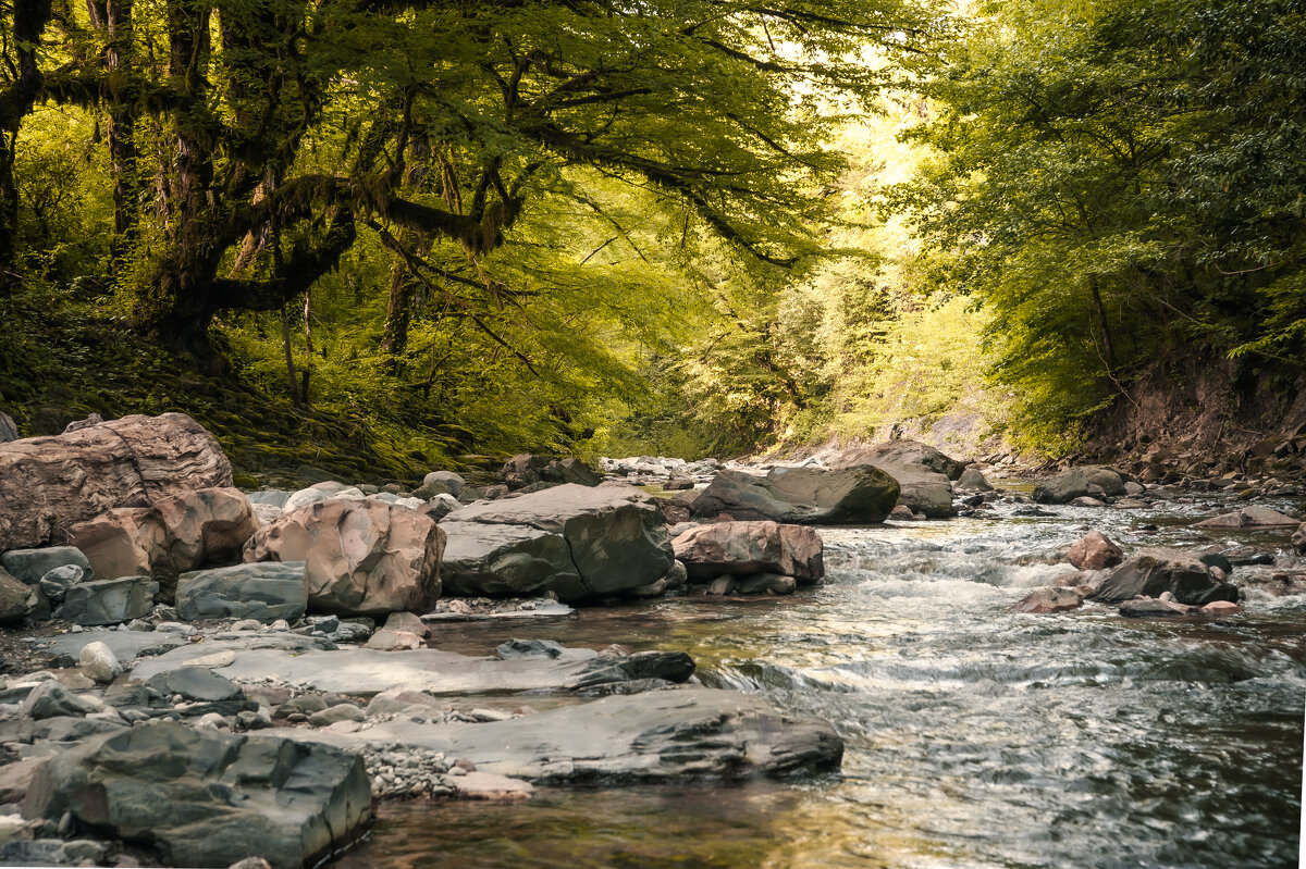 Дагомысские корыта - Артем Тимофеев Дагомысские корыта - Артем Тимофеев