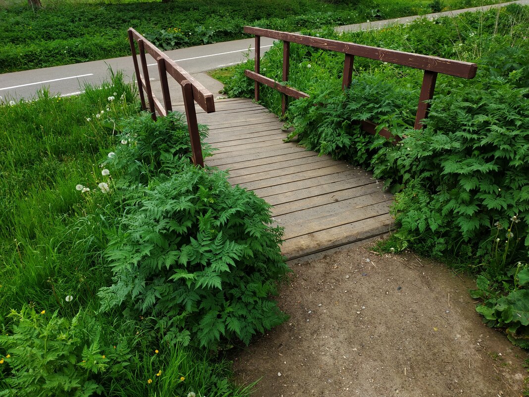 * * * - Андрей Лукьянов