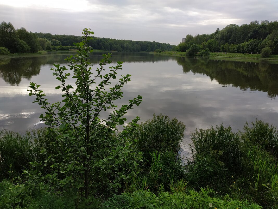 * * * - Андрей Лукьянов * * * - Андрей Лукьянов