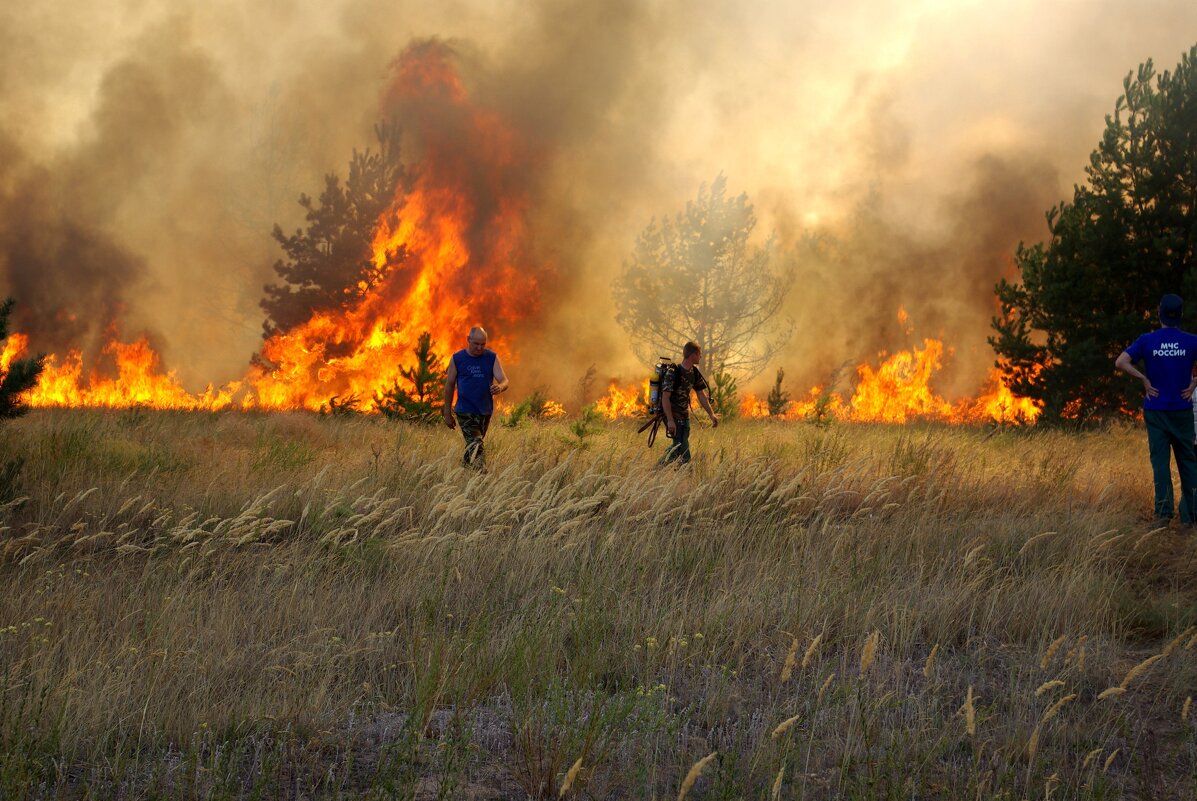 Природный пожар - Андрей Л. В. Природный пожар - Андрей Л. В.