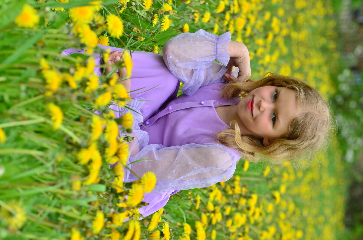 Кудряшка в одуванчиках - Джексон Кудряшка в одуванчиках - Джексон