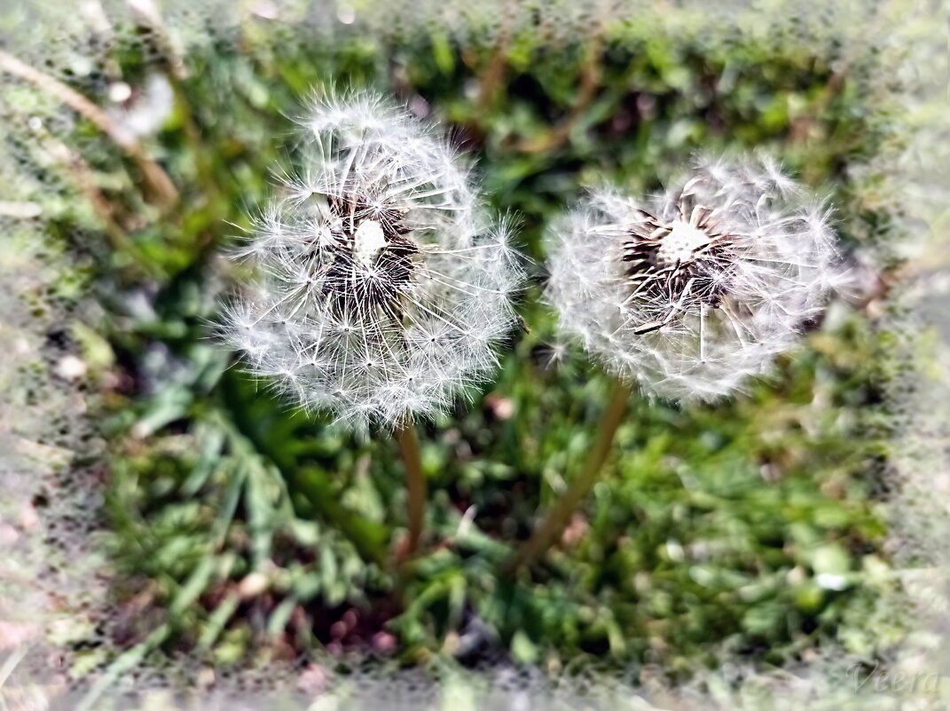 Полетели! - Veera V Полетели! - Veera V