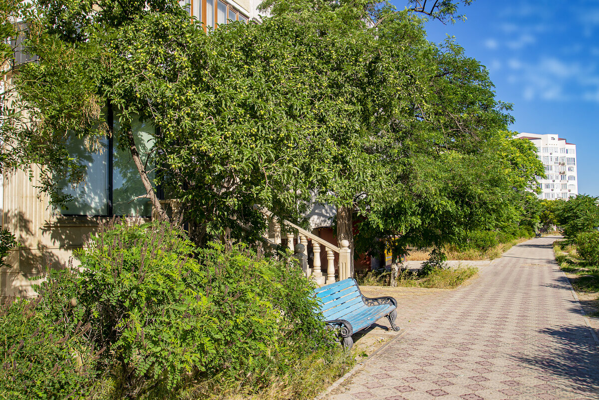 Актау - Анатолий Чикчирный